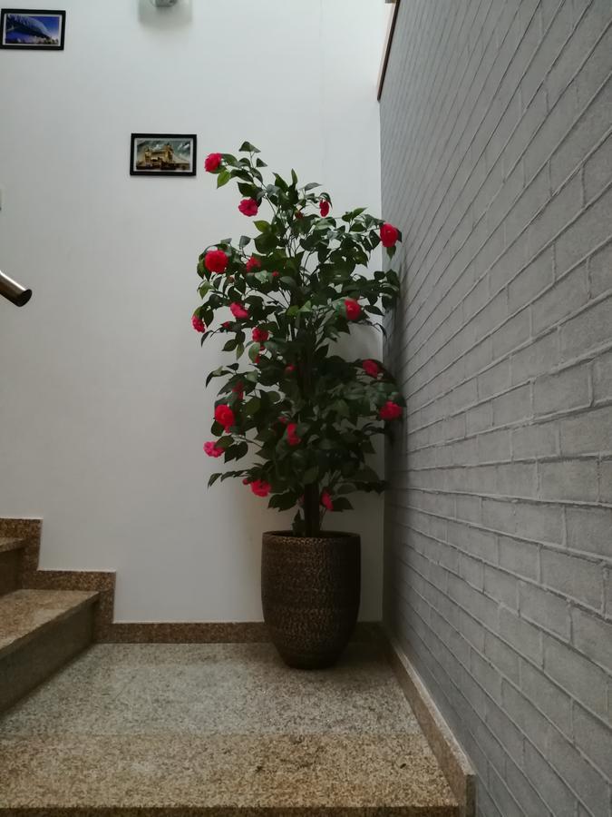 Casa Do Azibo Farm stay *
